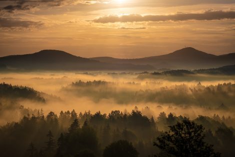 sunrise, fog, landscape-5669884.jpg